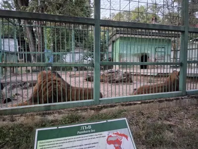 Зоокът