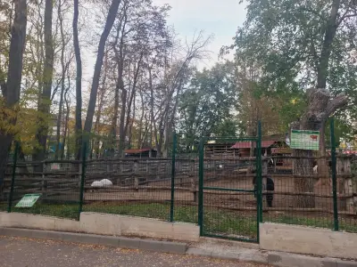 Зоокът