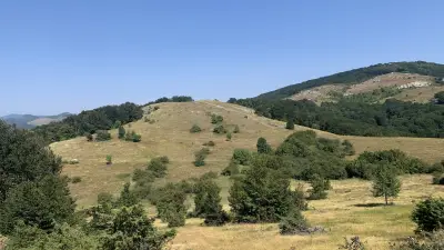 Връх Кутелка