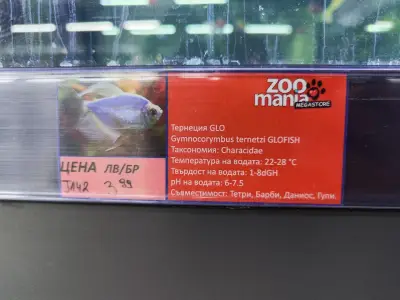 Zoomania Megastore