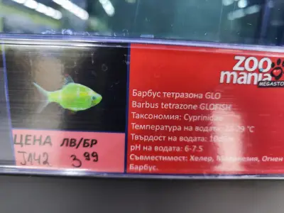 Zoomania Megastore