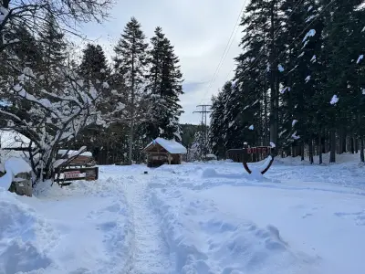 Horse Riding With Butch / Езда и конен туризъм Буч