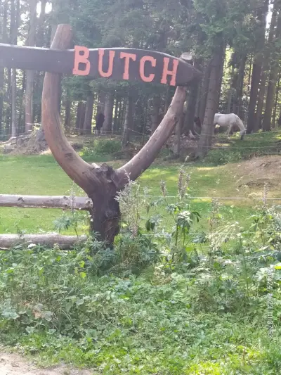 Horse Riding With Butch / Езда и конен туризъм Буч