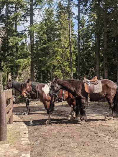 Horse Riding With Butch / Езда и конен туризъм Буч