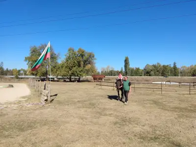 Ездови клуб Валдемар Хорсис