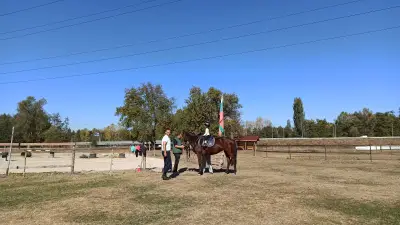 Ездови клуб Валдемар Хорсис