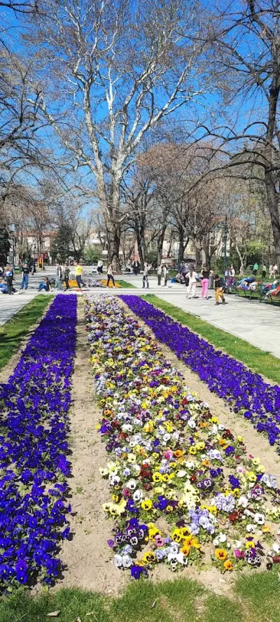 НАЦИОНАЛ ТУРС