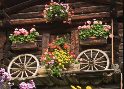 Tour Bulgaria شركة تور بلغاريا