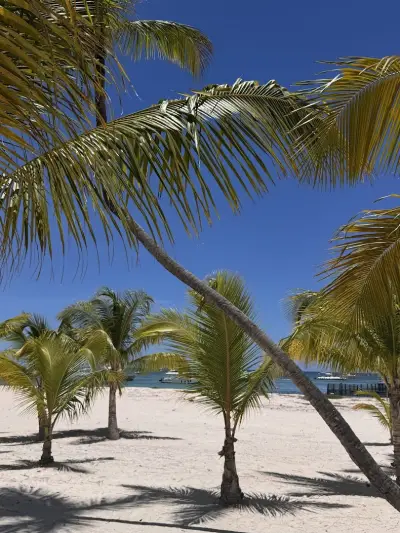 Tortuga Holidays | туристическа агенция