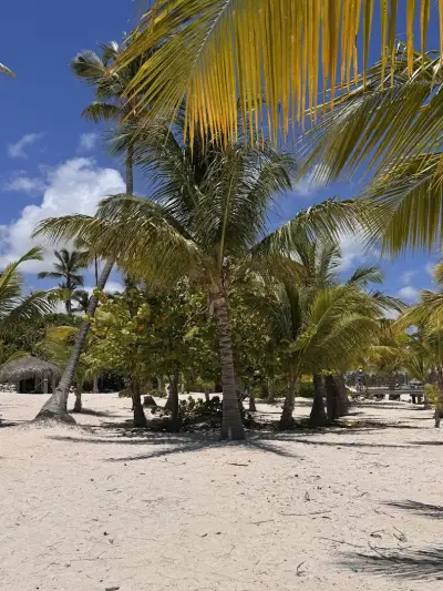 Tortuga Holidays | туристическа агенция