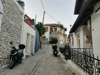 Глобул турс