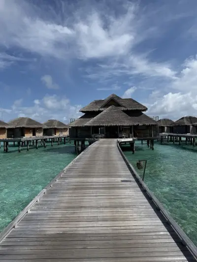 Luxutour