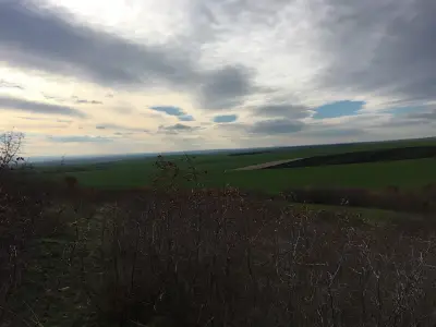 Faviaviaggi