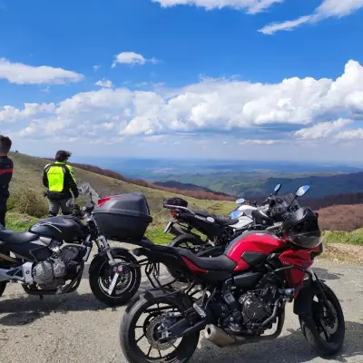 BulTrips Ltd