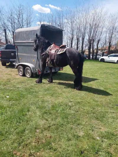 Vignette Bulgaria