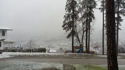 хотел Бръшлян