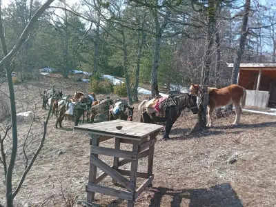 Езда с Тома / Horse Riding with Toma