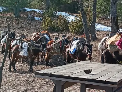 Езда с Тома / Horse Riding with Toma