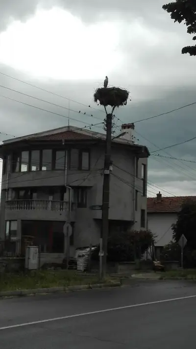 Bulgarian Charm