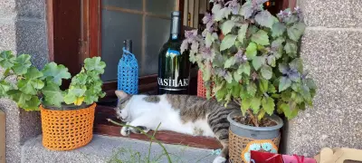 Шанс Тур - Shans Tur