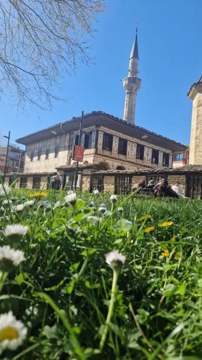 Компас Травел