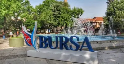 Компас Травел
