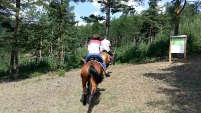 Peri Volas Horse Base