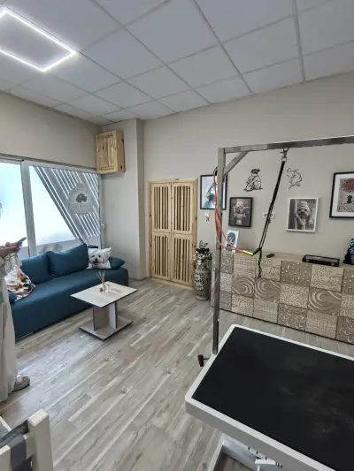 И/В Grooming Studio / Груминг Салон в Петрич