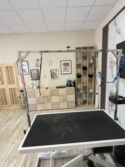 И/В Grooming Studio / Груминг Салон в Петрич