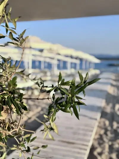 Corona Beach Bar&Dinner