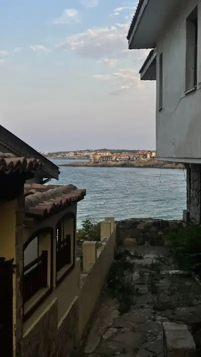 Casa Mint