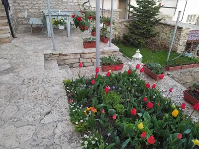Casa del Elgo 2