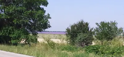 Branta Birding Lodge