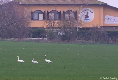 Branta Birding Lodge