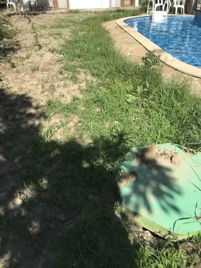Del Sol Apartments