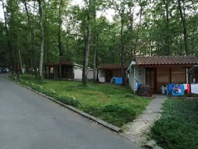 "Приморско клуб" ЕАД