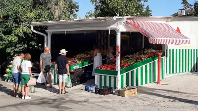 Алекс Плод