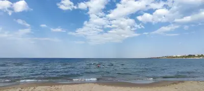 The Dolphin's House