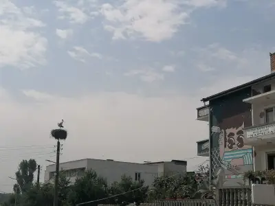 Къщата на Цветята