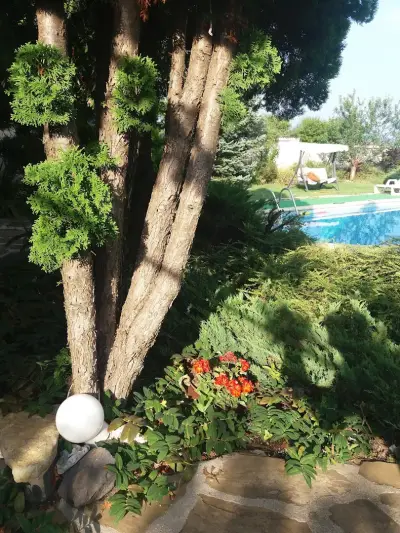 Villa Magnet