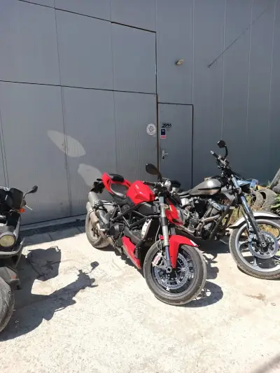 ZM-PERFORMANCE VARNA