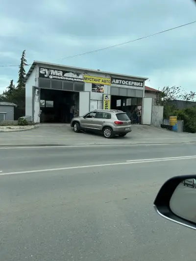 Автосервиз Мустанг-авто 2