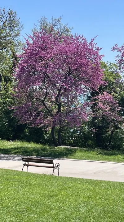 Морска градина