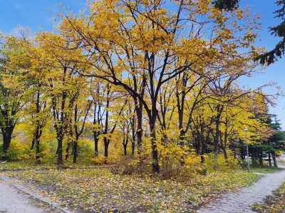 Морска градина