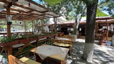 Restaurant - Bistro Olimp