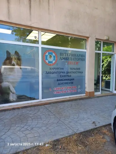 Ветеринарна клиника Лесси