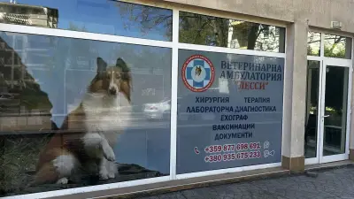 Ветеринарна клиника Лесси