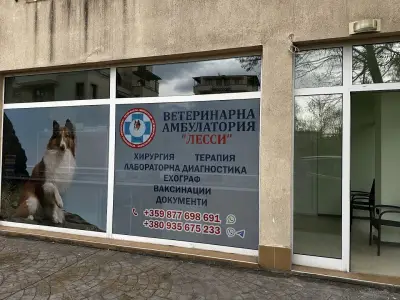 Ветеринарна клиника Лесси