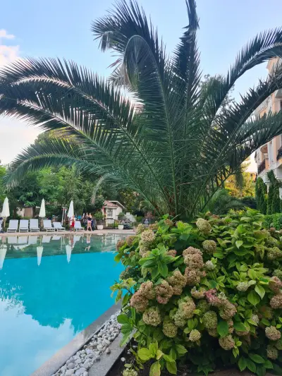 Alba Rose at Venera Palace/Sunny beach