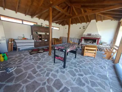 SavayaTribe